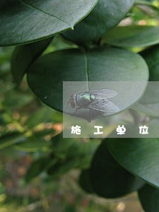 施工单位逾期未整改赔偿 施工单位逾期未整改赔偿