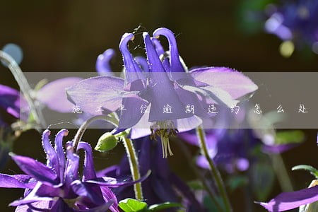 施工单位逾期违约怎么处理 施工单位逾期违约怎么处理