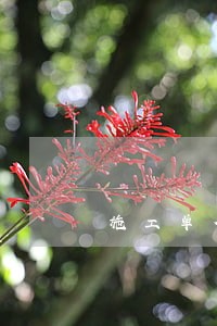 施工单位逾期违约通知 施工单位逾期违约通知