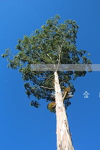 施工合同中一方逾期违约责任 施工合同中一方逾期违约责任