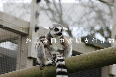 施工合同中逾期支付违约金 施工合同中逾期支付违约金