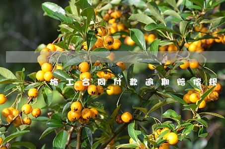 施工合同付款逾期赔偿规定 施工合同付款逾期赔偿规定