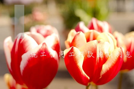 施工合同工程款逾期利息 施工合同工程款逾期利息