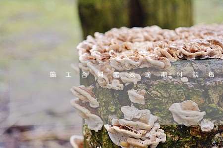 施工合同无效逾期付款违约金 施工合同无效逾期付款违约金
