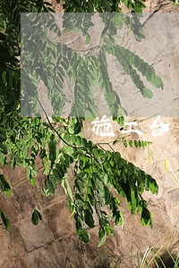 施工合同无效逾期施工的责任 施工合同无效逾期施工的责任
