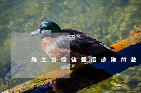 施工合同结算后逾期付款利息 施工合同结算后逾期付款利息