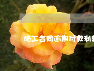 施工合同逾期付款利息标准 施工合同逾期付款利息标准