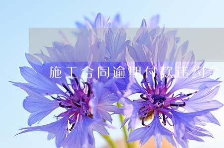 施工合同逾期付款违约金条款 施工合同逾期付款违约金条款