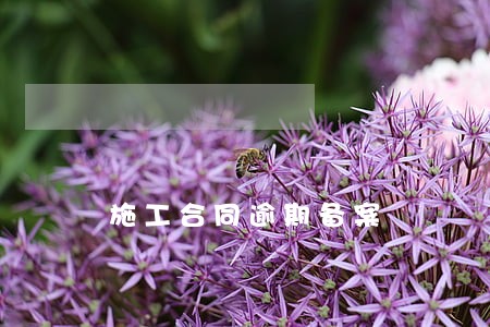 施工合同逾期备案 施工合同逾期备案