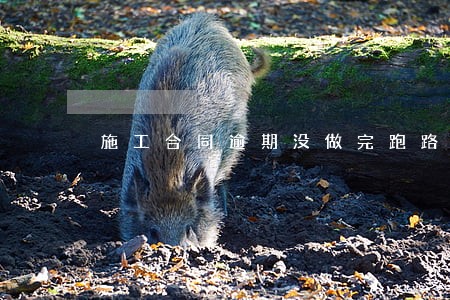 施工合同逾期没做完跑路了 施工合同逾期没做完跑路了