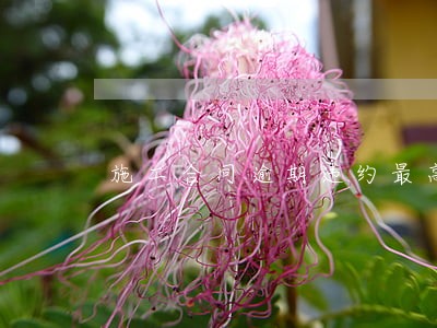 施工合同逾期违约最高赔偿标准 施工合同逾期违约最高赔偿标准