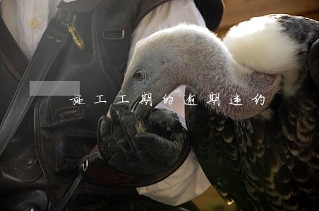 施工工期的逾期违约 施工工期的逾期违约
