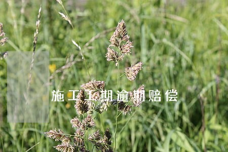 施工工期逾期赔偿 施工工期逾期赔偿
