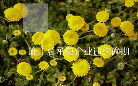 施工总承包企业违约逾期 施工总承包企业违约逾期