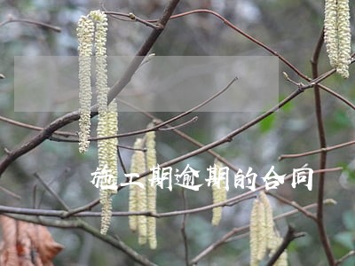 施工期逾期的合同