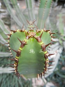 施工现场逾期不整改的罚款单 施工现场逾期不整改的罚款单