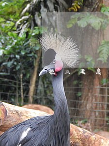施工进度逾期协商解决 施工进度逾期协商解决