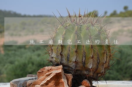 施工逾期完工违约责任 施工逾期完工违约责任