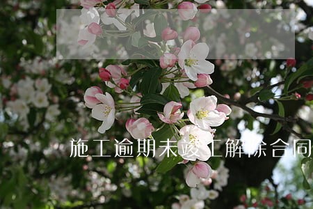 施工逾期未竣工解除合同 施工逾期未竣工解除合同