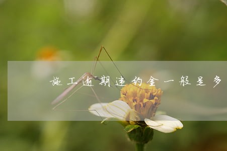 施工逾期违约金一般是多少 施工逾期违约金一般是多少