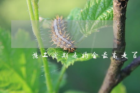 施工逾期违约金最高是百分之多少 施工逾期违约金最高是百分之多少