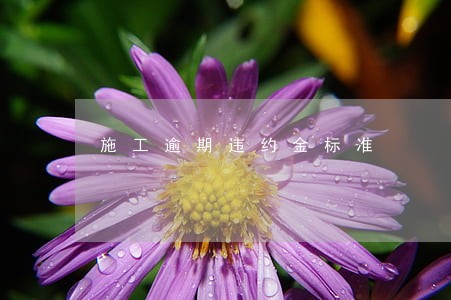 施工逾期违约金标准 施工逾期违约金标准