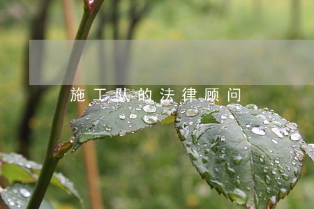 施工队的法律顾问 施工队的法律顾问