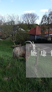 施康律师解答了近几年来 施康律师解答了近几年来