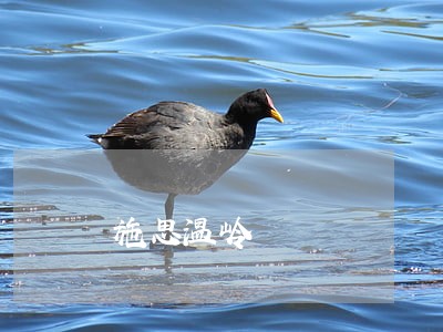 施思温岭 施思温岭