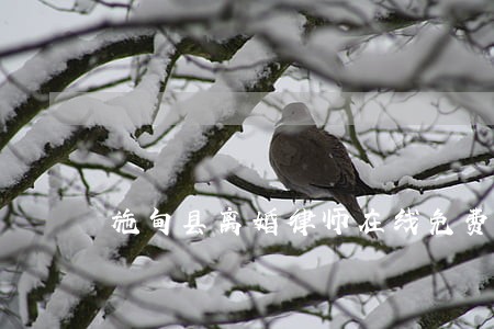 施甸县离婚律师在线免费咨询 施甸县离婚律师在线免费咨询