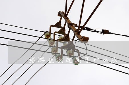 旅游业法规属于什么法 旅游业法规属于什么法