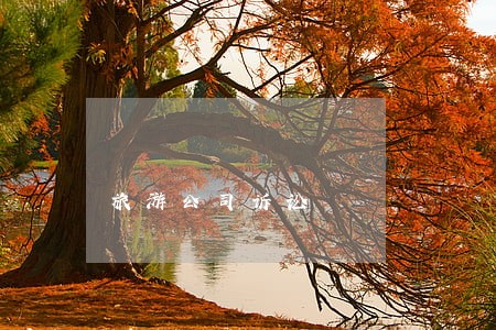 旅游公司诉讼 旅游公司诉讼