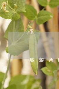 旅游合同纠纷案起诉流程 旅游合同纠纷案起诉流程