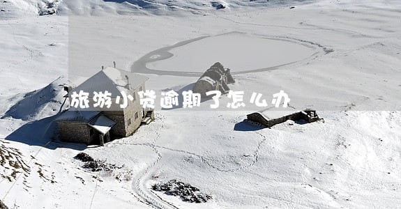 旅游小贷逾期了怎么办 旅游小贷逾期了怎么办