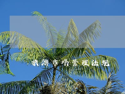 旅游市场管理法规 旅游市场管理法规