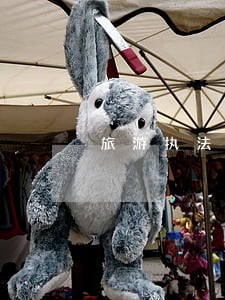 旅游执法与司法衔接 旅游执法与司法衔接