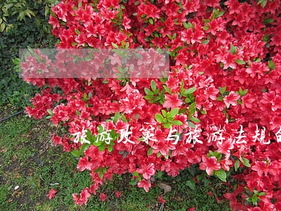 旅游政策与旅游法规的区别 旅游政策与旅游法规的区别