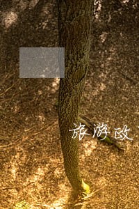 旅游政策法律法规旅行社责任保险