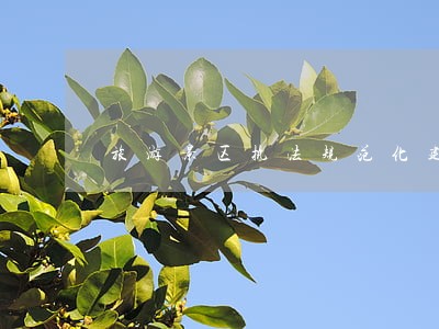旅游景区执法规范化建设 旅游景区执法规范化建设