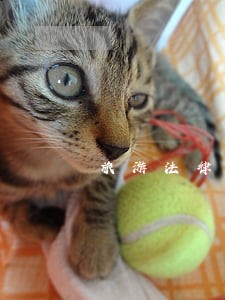旅游法律与法规观后感