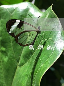 旅游法律关系由什么构成 旅游法律关系由什么构成