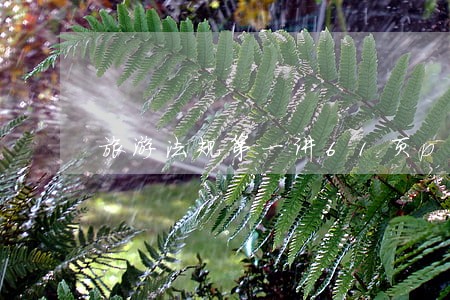 旅游法规第一讲61页ppt 旅游法规第一讲61页ppt