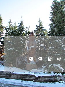 旅游签证在马来西亚打黑工逾期 旅游签证在马来西亚打黑工逾期