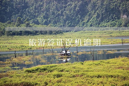 旅游签证误机逾期 旅游签证误机逾期