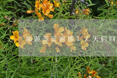 旅游签证逾期17天后回国 旅游签证逾期17天后回国