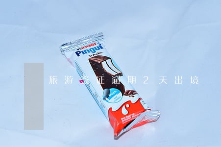 旅游签证逾期2天出境 旅游签证逾期2天出境