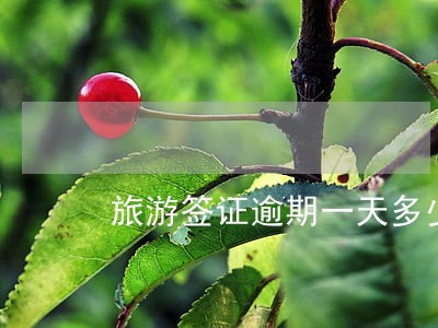 旅游签证逾期一天多少钱 旅游签证逾期一天多少钱