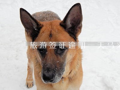 旅游签证逾期一天马来西亚 旅游签证逾期一天马来西亚