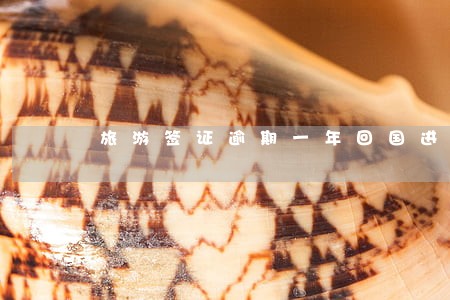 旅游签证逾期一年回国进关 旅游签证逾期一年回国进关
