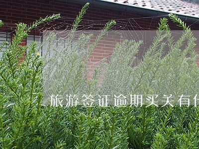 旅游签证逾期买关有什么风险